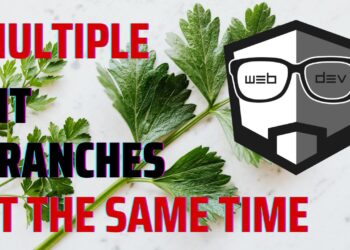 How to Work on Different Git Branches at the Same Time?