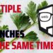 How to Work on Different Git Branches at the Same Time?